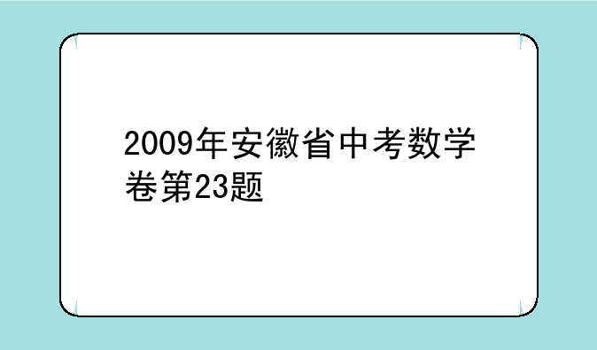 2009年安徽省中考数学卷第23题