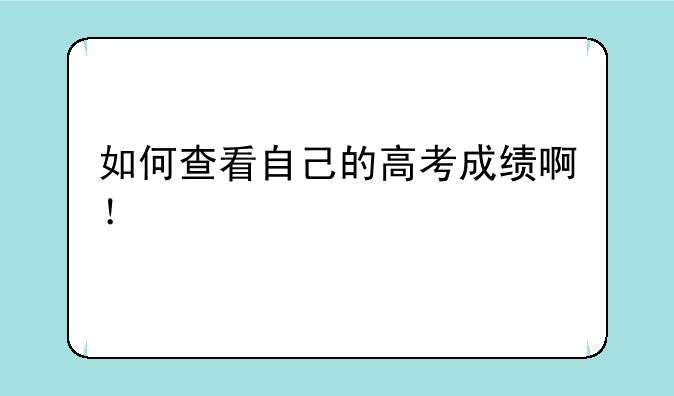 如何查看自己的高考成绩啊！