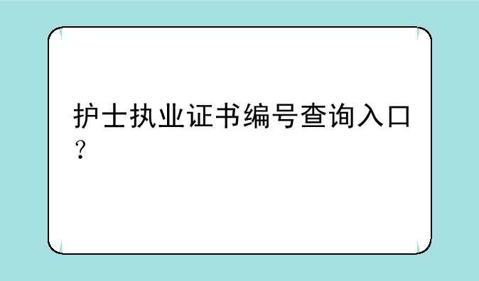 护士执业证书编号查询入口？