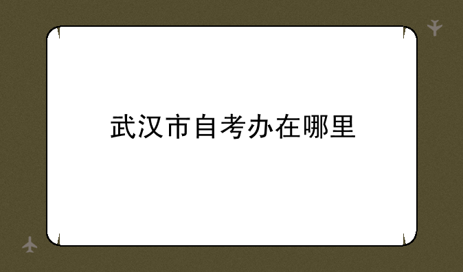 武汉市自考办在哪里
