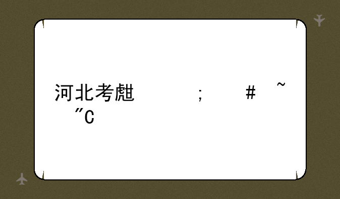 河北考生怎么查成绩