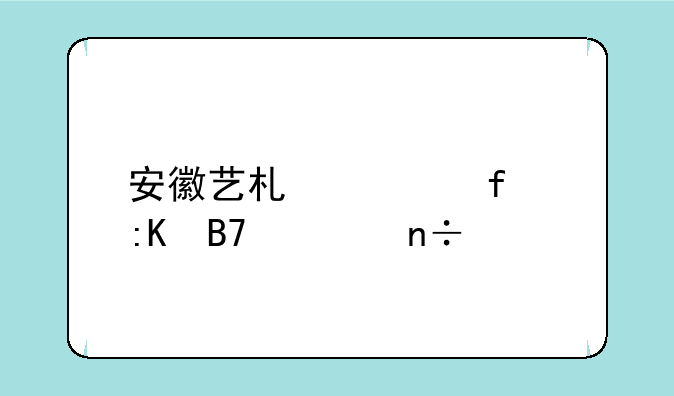 安徽艺术学院排名全国第几