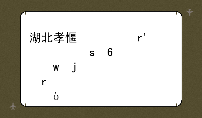 湖北孝感市有个简称“卫校”的学校在那？