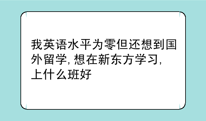 我英语水平为零但还想到国外留学,想在新东方学习,上什么班好